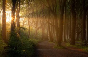 Landscapes in Germany