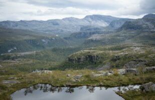 Typical Rago Landscape