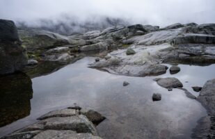 Rough Terrain