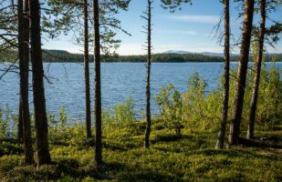 Jäggávrre near Jäkkvik