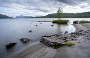 Bartávrre lakeshore