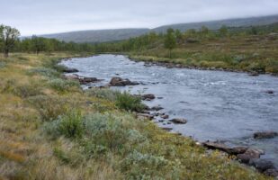 Along Máranjåhkå