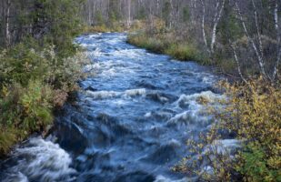 Autumn Stream