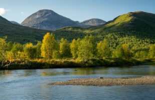 Autumnal colors at Tarraätno