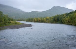Rainy contitions in Tarradalen
