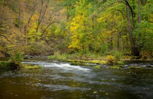 Bode River (Harz)