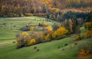 Autumnal Landscape (Rhön)
