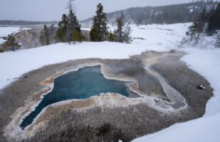 Blue Star Spring
