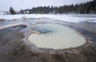 Doublet Pool