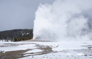Old Faithful