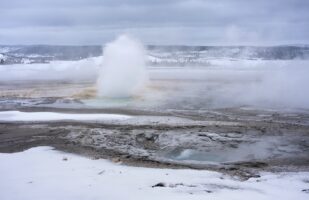 Twig Geyser