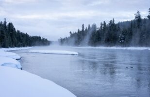 Morning at Firehole River