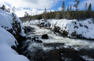 Cascades of the Firehole #1