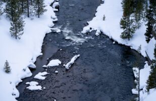 Gibbon River