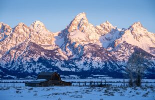 Mormon Row