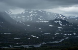 Alisvággi in inclement weather