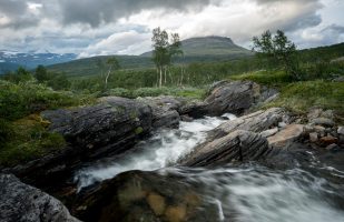 Small stream in Tverrådalen