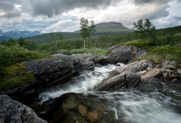 Small stream in Tverrådalen