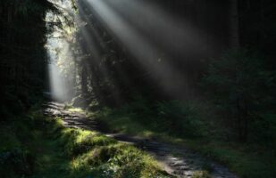 Light rays on a quiet trail