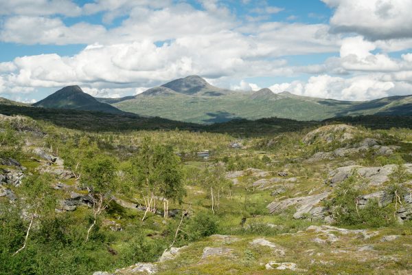 Tollådalen