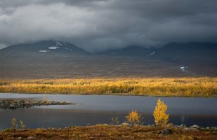 Autumn colors at Boarekjávrre