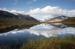 Mirror image in a small lake