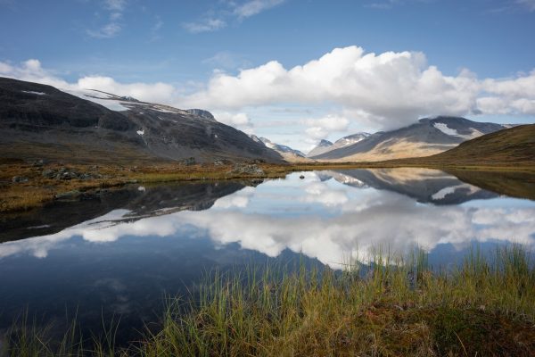 Mirror image in a small lake