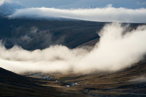 Fog banks in sunlight