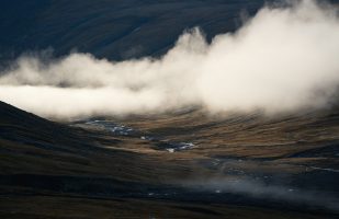 Fog bank in Sarvesvágge