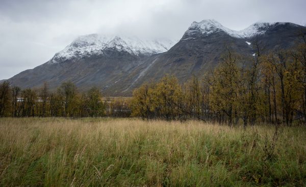 Mountain view in Rapadalen