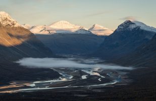 Sarek