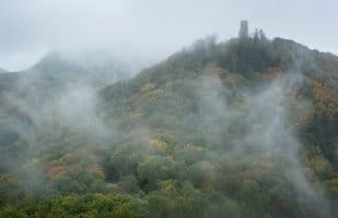 Colorful forest with castle ruin Scharfenberg