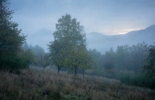 Castles Trifels and Scharfenberg in the fog