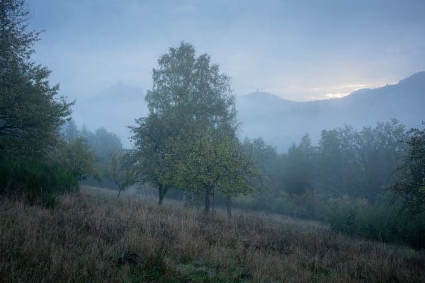 Castles Trifels and Scharfenberg in the fog