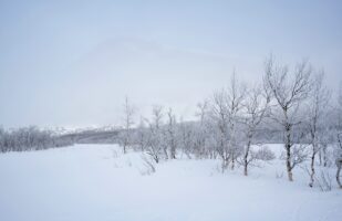 Faint contours of Skierffe in the fog