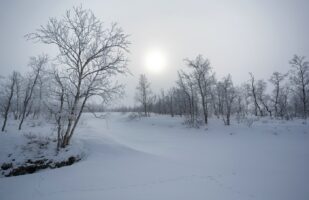 Winter morning in the Rapa Delta
