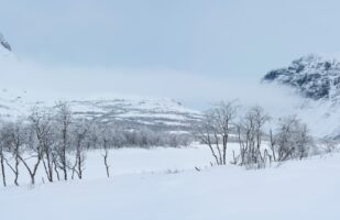 Fog Bank and Frozen Waterfall