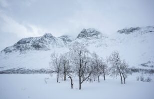 Bielloriehppe Mountains