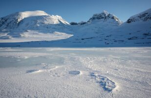 Sarek in Winter