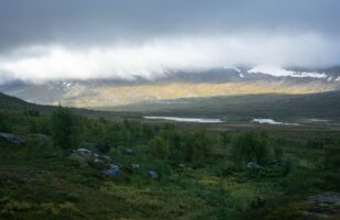 View back towards Lomtjärnen