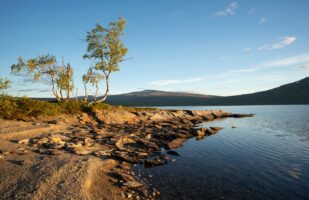 Mávasjávrre lakeshore