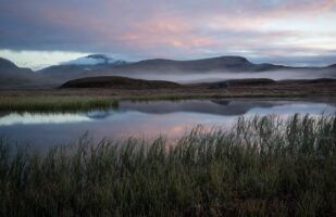 Misty morning