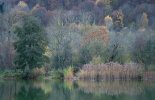 Quiet lake scene