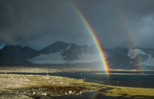 Double Rainbow