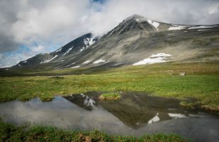 Head in the Clouds