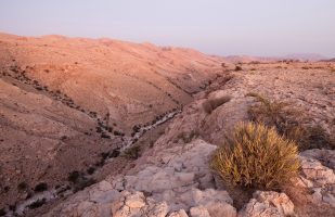 Salmah Plateau