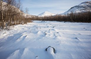 Abisko National Park