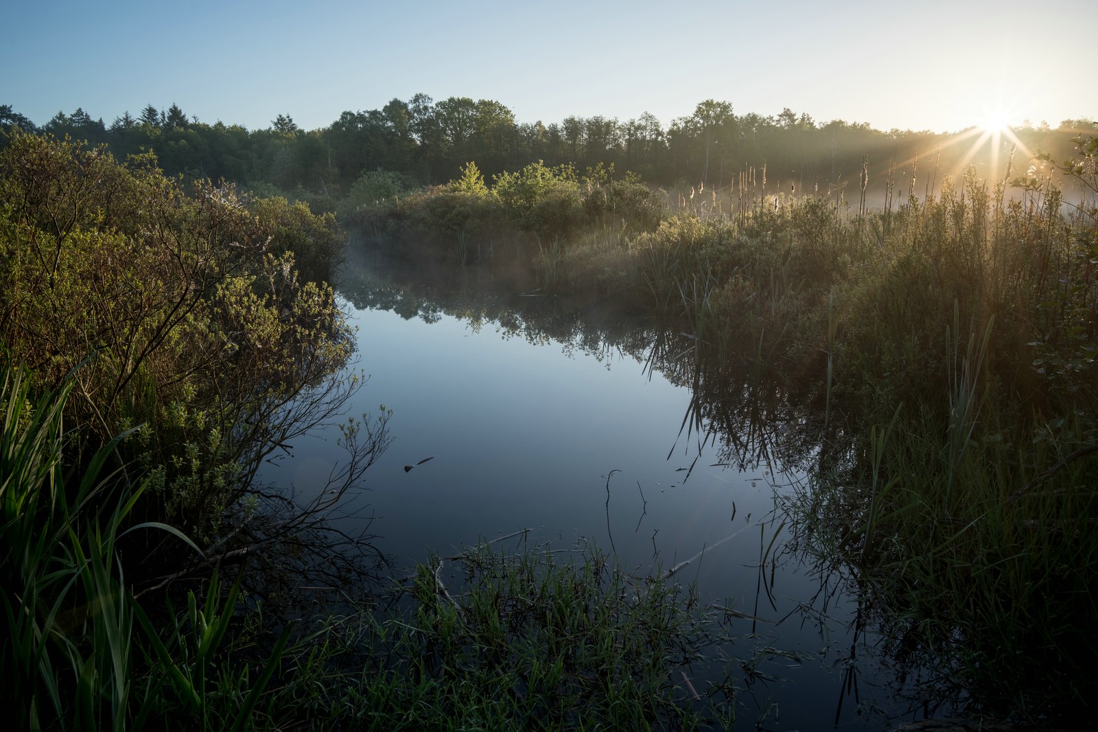 nature photography in Hamburg | Stefan Rieger – Landscape