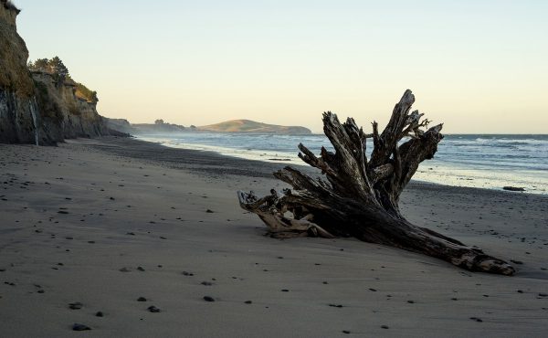 Beach near the campsite at Hampden