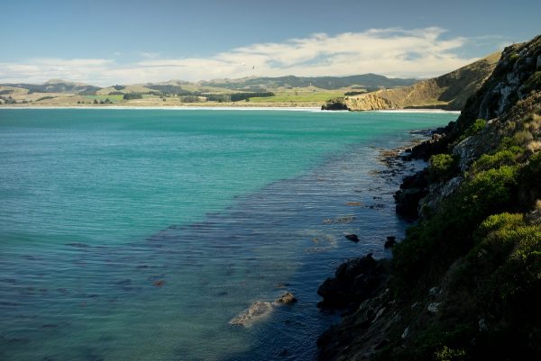 East coast at Shag Point